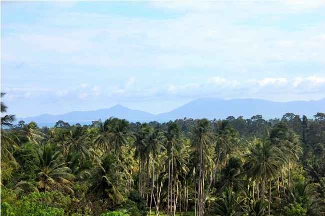Samui villa for rent